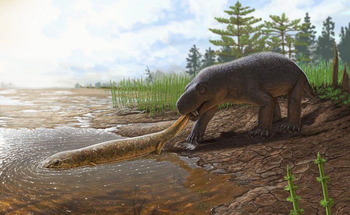 On the banks of the Volga, two new Permian period carnivores were found
