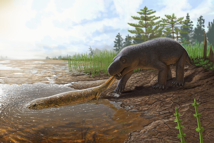 On the banks of the Volga, two new Permian period carnivores were found